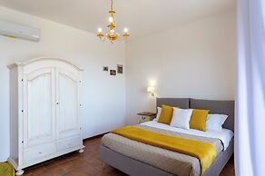 IL vigneto di nonno Pietro