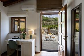 IL vigneto di nonno Pietro