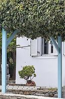 Perla Pool Hotel Andros