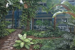 Mission Beach Lodge