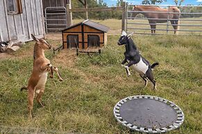 Farm Experience in a Beautiful Log Cabin
