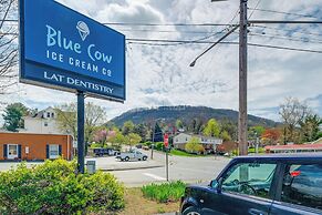 1 Mi to Dtwn Roanoke: Home w/ Yard & Mtn View!