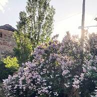 La Rectoria de Pedra