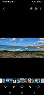 Le Pecheur Du Sud