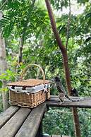 EcoLodge a casinha da floresta