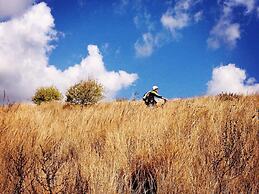 Villa Amoroso - Ospitalità Mediterranea