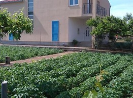 Villa Anita
