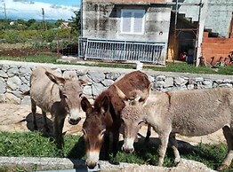 Villa Anita