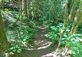 87sl - Starlink - Sauna - Pets OK - Sleeps 8