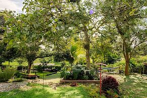 Casa cafetera cerca del Parque del Café