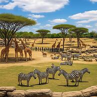 Summit Scholars 2 For 6!