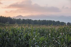 The Long Circle House