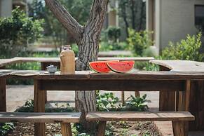 The Long Circle House