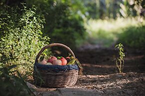 The Long Circle House