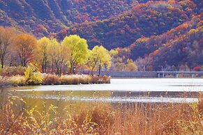 The Long Circle House