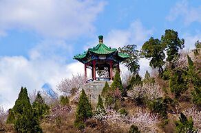 The Long Circle House