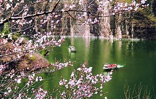 The Long Circle House