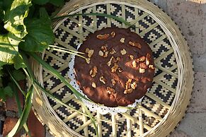 The Long Circle House