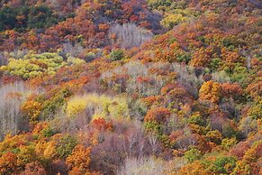 The Long Circle House