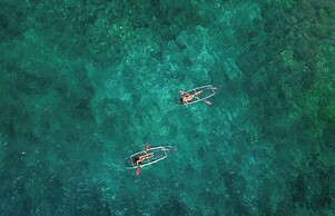 Seven Dreams A Pramana Experience