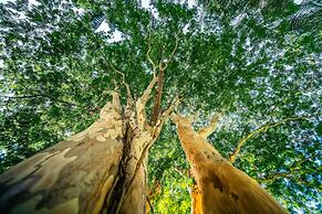 Sensom Boutique Bed and Breakfast