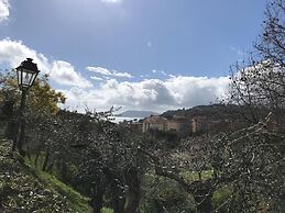 la casa fra gli ulivi