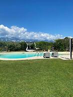 la casa fra gli ulivi