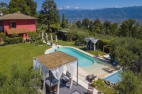 la casa fra gli ulivi