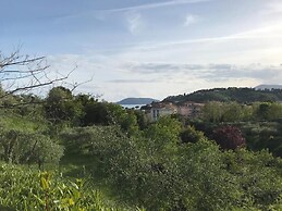 la casa fra gli ulivi