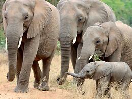 Sunbirds Oasis Lodge