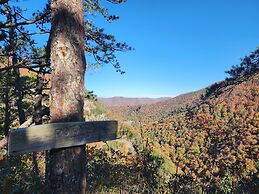 Black Bear Resort