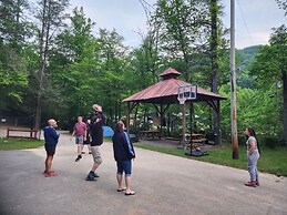 Black Bear Resort