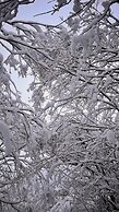 Adventure Panorama