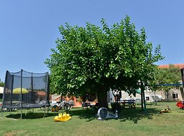 Authentic Istrian Rooms for Unforgettable Stays