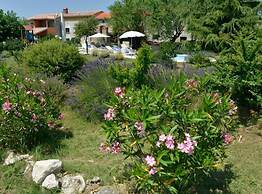 Authentic Istrian Holiday Home for Unforgettable Stays