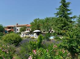 Authentic Istrian Holiday Home for Unforgettable Stays