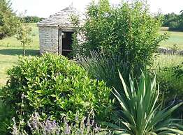 Authentic Istrian Holiday Home for Unforgettable Stays