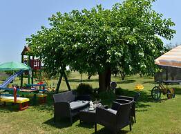 Authentic Istrian Holiday Home for Unforgettable Stays