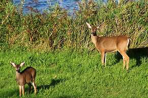 The Florentine Waterfront Hotel