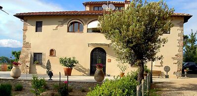 Il Pino Bioagricoltura