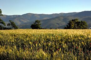 Il Pino Bioagricoltura