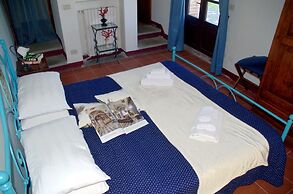 Il Pino Bioagricoltura