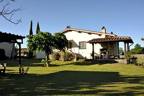 Il Pino Bioagricoltura