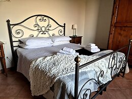 Il Pino Bioagricoltura