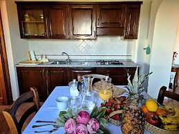 Il Pino Bioagricoltura