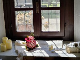 Il Pino Bioagricoltura