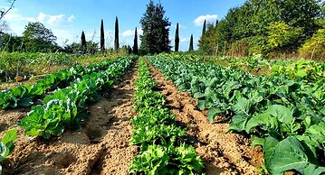 Il Pino Bioagricoltura