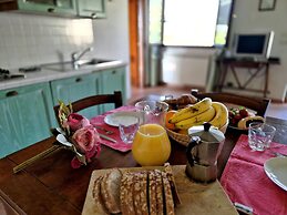 Il Pino Bioagricoltura