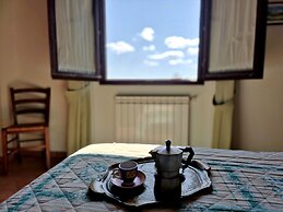 Il Pino Bioagricoltura