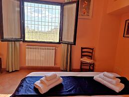 Il Pino Bioagricoltura